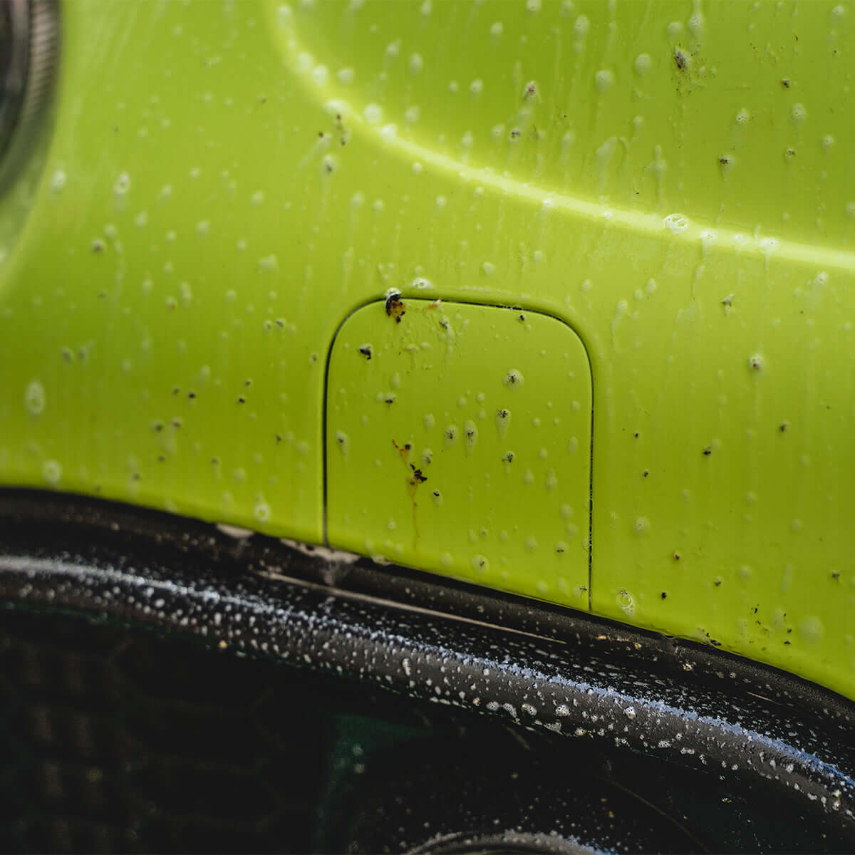 Maniac Line Foam Gun Prewash